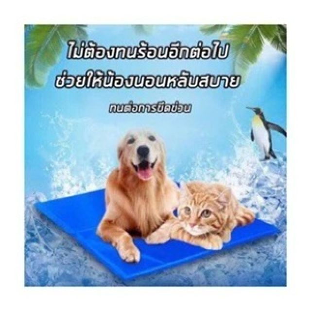 ที่นอนเจลเย็น