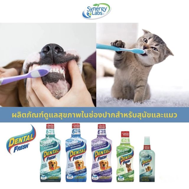 DENTAL FRESH (เดนทัล เฟรช) ผลิตภัณฑ์ดูแลสุขภาพในช่องปากสำหรับสุนัขและแมว แบบสเปรย์