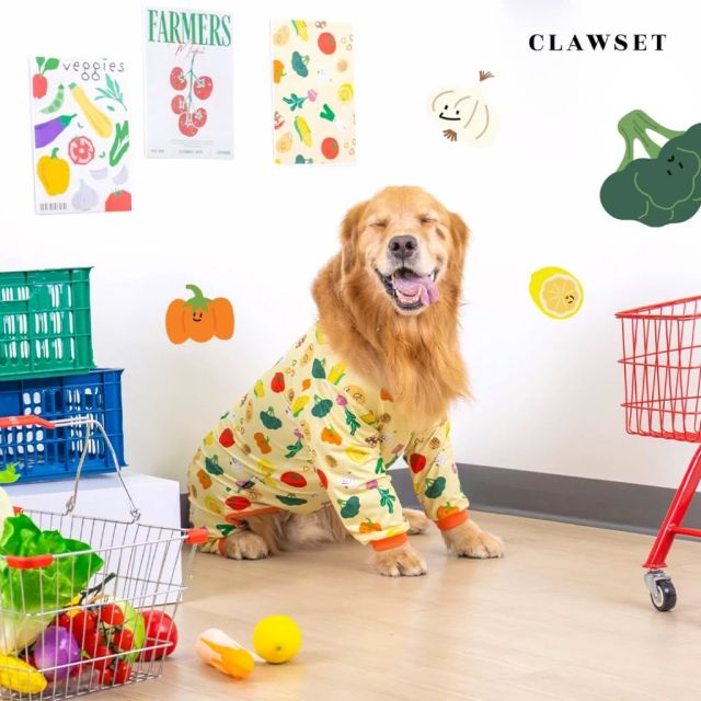 ชุดกันขนร่วง ชุดเก็บขน คอลเลคชั่น Veggies Protection Suit